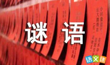有趣的猜谜语大全,猜谜语大全,智慧与乐趣的碰撞