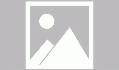 羊不点觅圈新疆一养殖园现多只四角绵羊 吸引众人围观