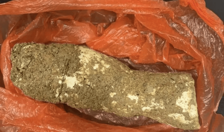 河源一家四口误食野蘑菇中毒:母女俩病危7岁孙女和5岁孙子转院至广州治疗叶子姐姐