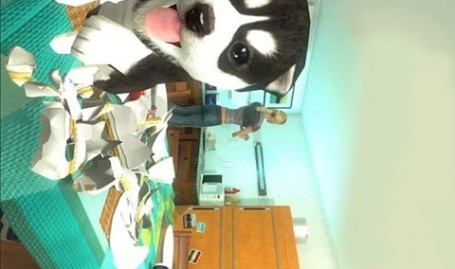 小猫日记小猫历险记